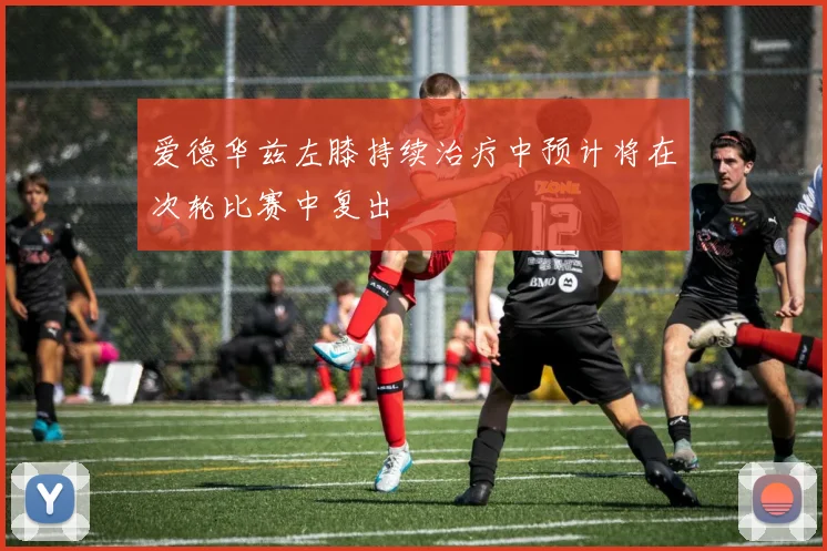 爱德华兹左膝持续治疗中预计将在次轮比赛中复出
